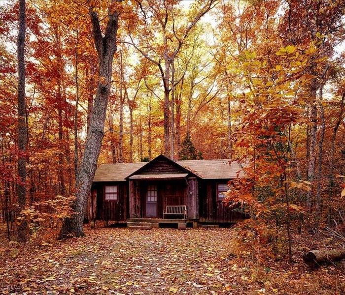 House in the woods during Autumn 